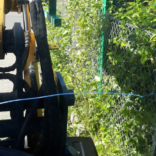 Klipning af hæk institution med maskine