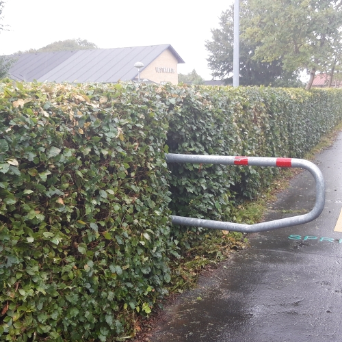 Klipning af hæk institution med maskine