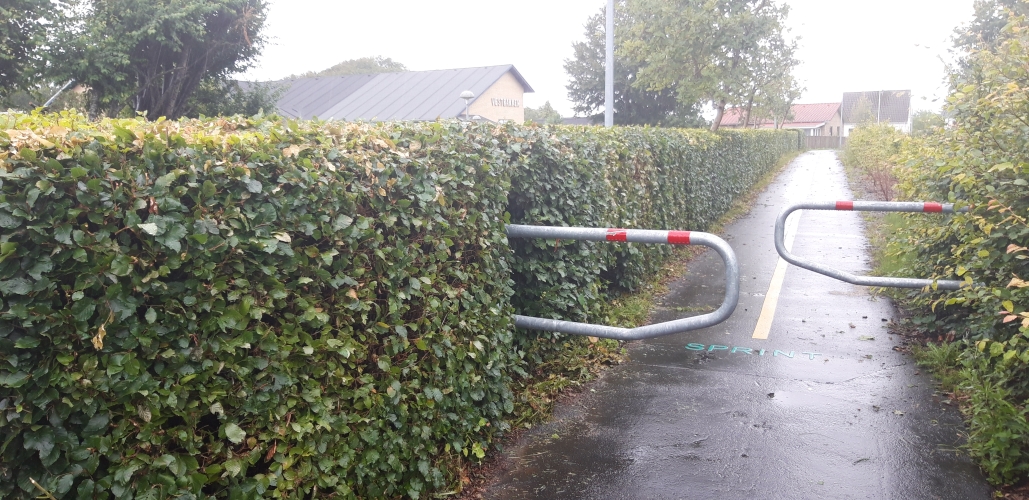 Klipning af hæk institution med maskine