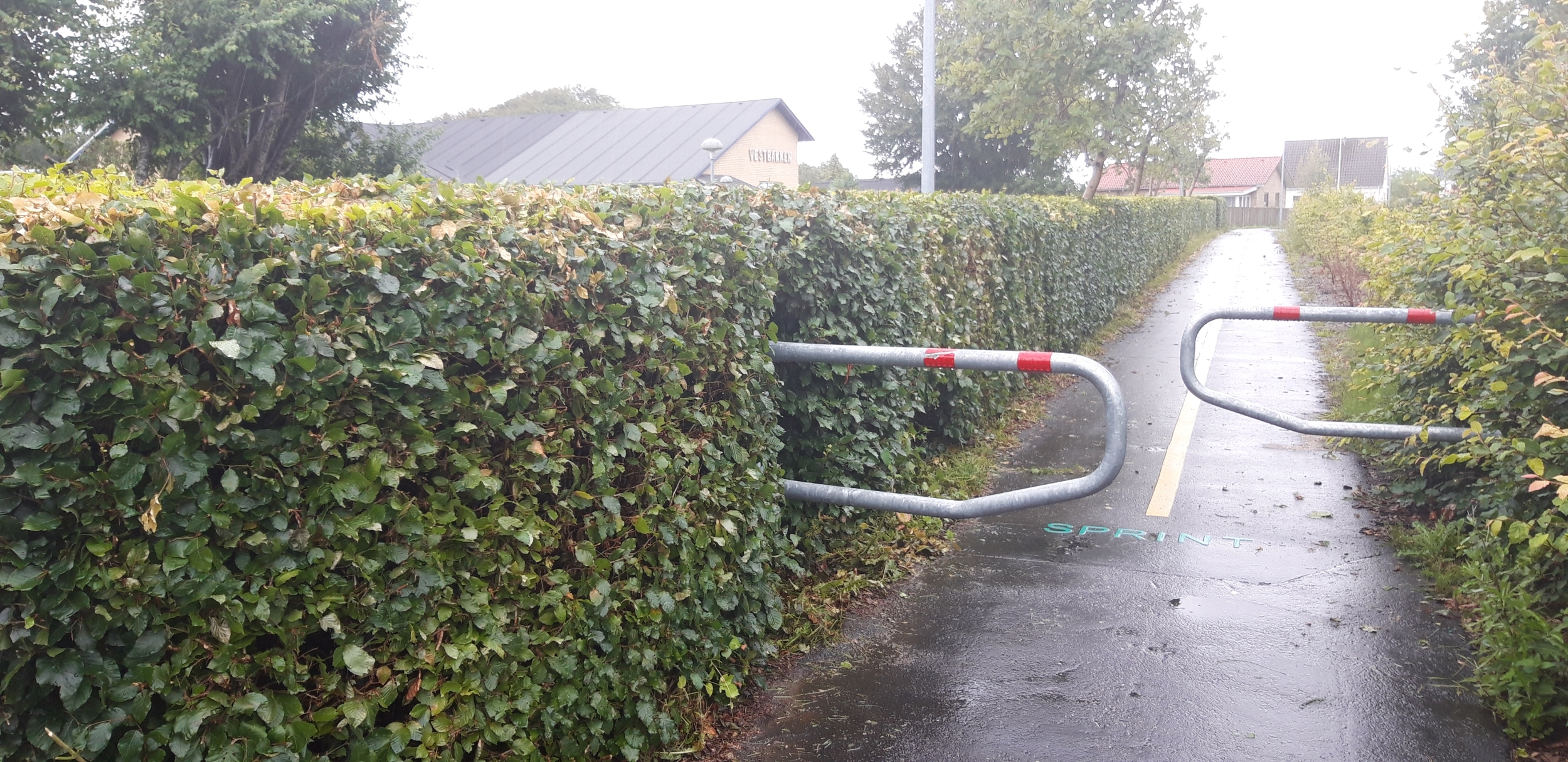 Klipning af hæk institution med maskine